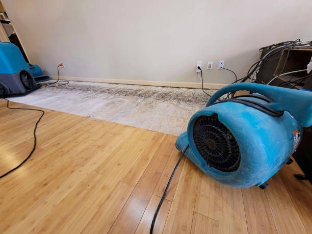 Professional Structural Drying technician working in Allston, MA